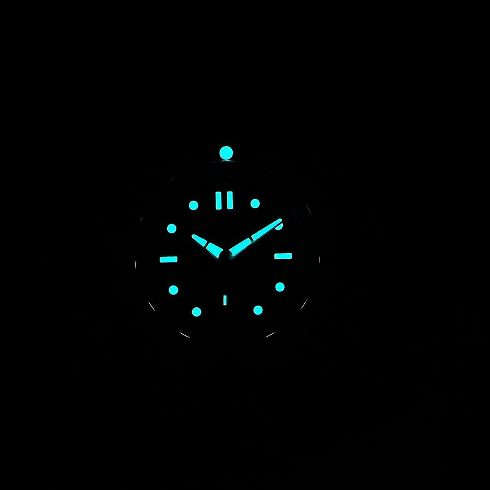 STEELDIVE Officieel nieuw in S - Seiko Watch Prospex recensie en prijs